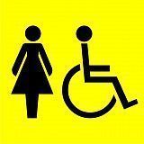 Табличка "Туалет для инвалидов" 20*20 см
